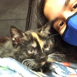 Meet your Posher, Areej